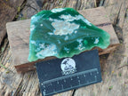 Polished One Side Mtorolite Chrysoprase Slices x 12 From Mutorashanga, Zimbabwe - Toprock Gemstones and Minerals 