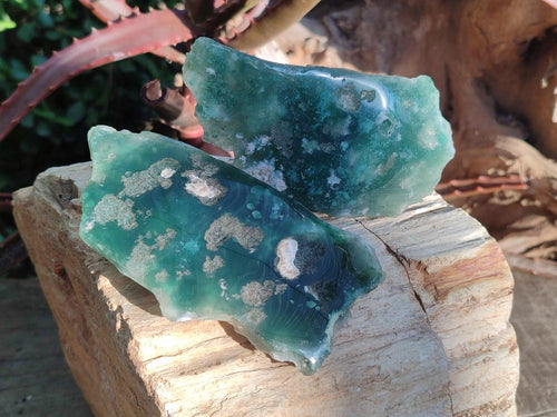 Polished One Side Mtorolite Chrysoprase Slices x 12 From Mutorashanga, Zimbabwe - Toprock Gemstones and Minerals 