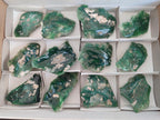Polished One Side Mtorolite Chrysoprase Slices x 12 From Mutorashanga, Zimbabwe - Toprock Gemstones and Minerals 