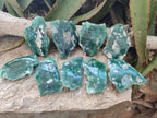 Polished One Side Mtorolite Chrysoprase Slices x 12 From Mutorashanga, Zimbabwe - Toprock Gemstones and Minerals 