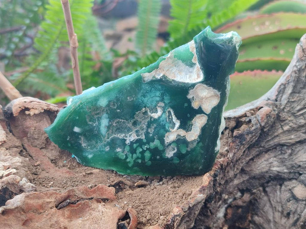Polished One Side Mtorolite Chrysoprase Slices x 12 From Mutorashanga, Zimbabwe - Toprock Gemstones and Minerals 