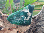 Polished One Side Mtorolite Chrysoprase Slices x 12 From Mutorashanga, Zimbabwe - Toprock Gemstones and Minerals 