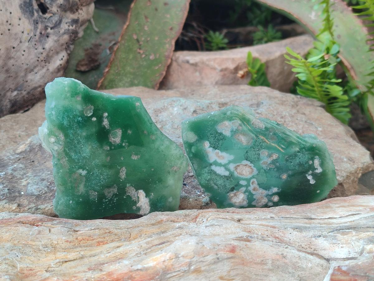 Polished One Side Mtorolite Chrysoprase Slices x 12 From Mutorashanga, Zimbabwe - Toprock Gemstones and Minerals 