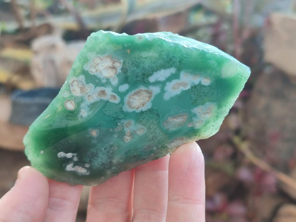 Polished One Side Mtorolite Chrysoprase Slices x 12 From Mutorashanga, Zimbabwe - Toprock Gemstones and Minerals 
