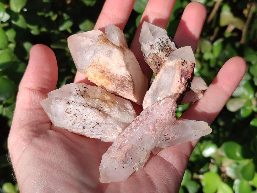 Natural Mini Single Window Pineapple Quartz Crystals x 35 From Antsirabe, Madagascar - Toprock Gemstones and Minerals 