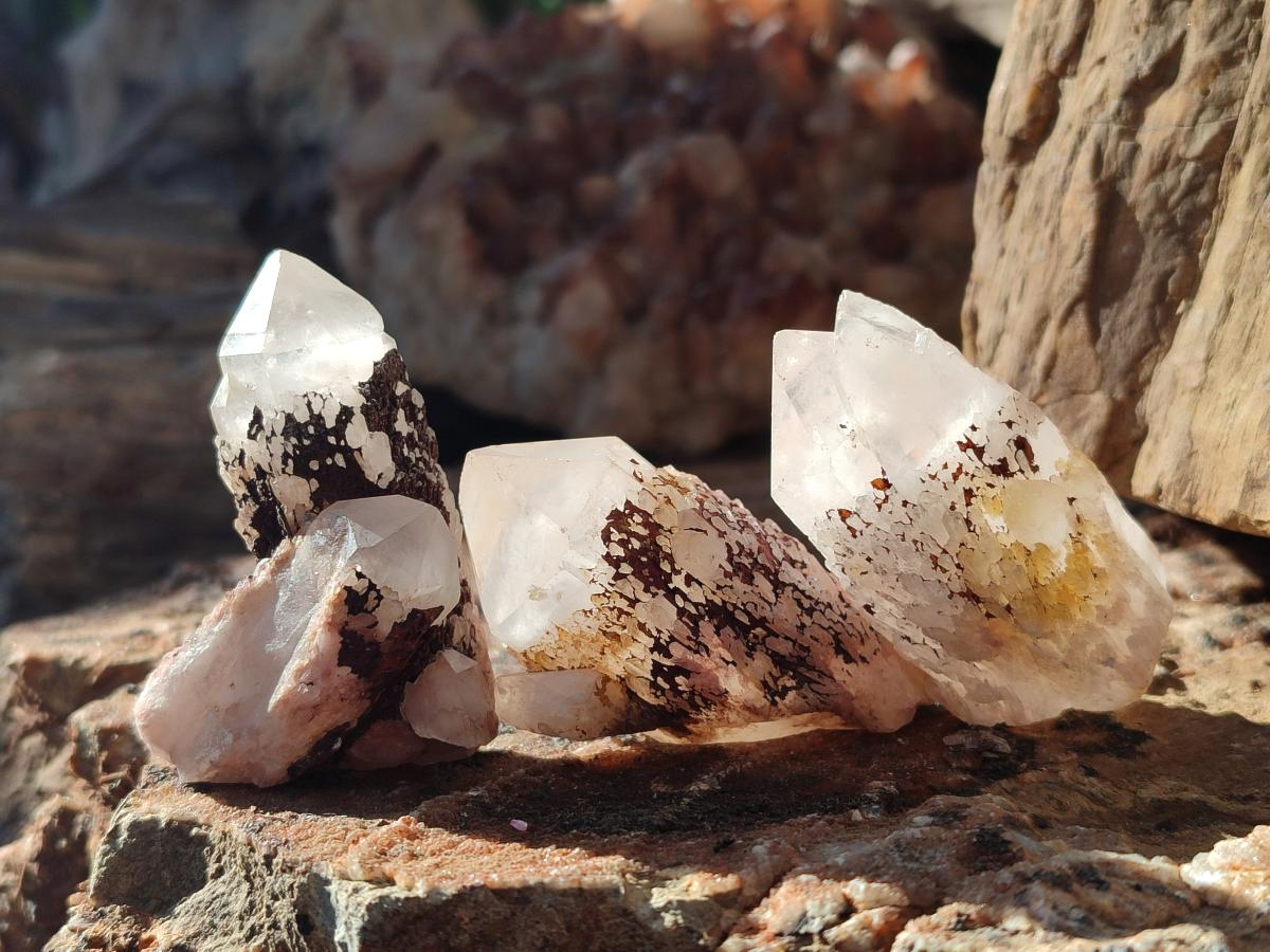 Natural Mini Single Window Pineapple Quartz Crystals x 35 From Antsirabe, Madagascar - Toprock Gemstones and Minerals 