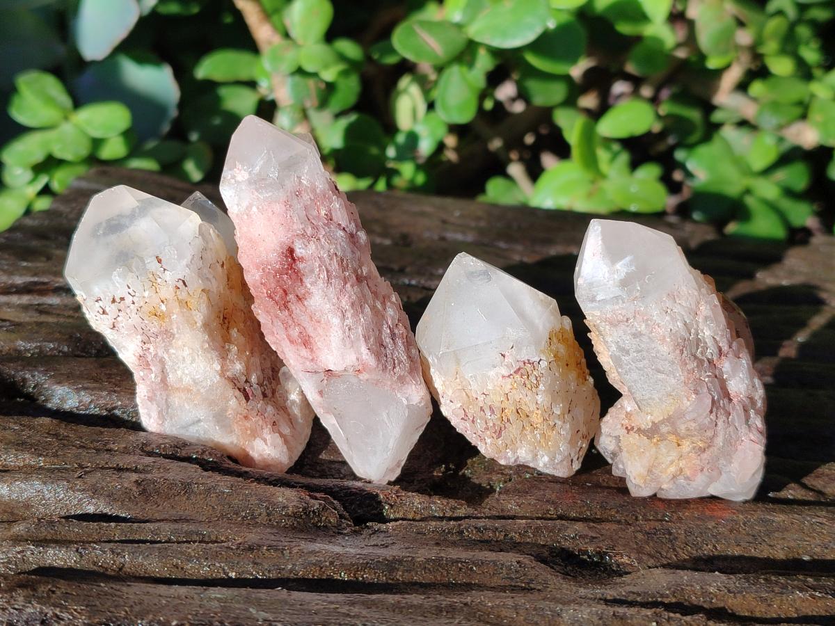 Natural Mini Single Window Pineapple Quartz Crystals x 35 From Antsirabe, Madagascar - Toprock Gemstones and Minerals 