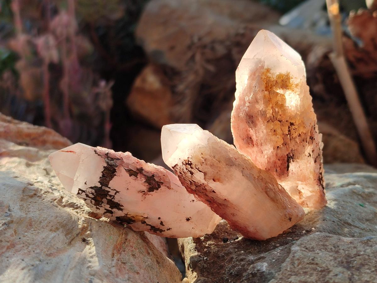 Natural Mini Single Window Pineapple Quartz Crystals x 35 From Antsirabe, Madagascar - Toprock Gemstones and Minerals 