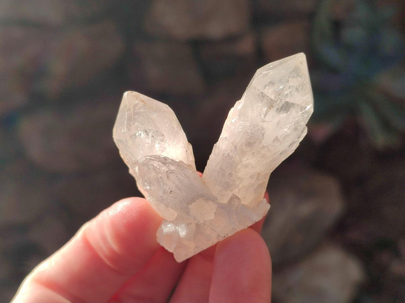 Natural Mini Single Window Pineapple Quartz Crystals x 35 From Antsirabe, Madagascar - Toprock Gemstones and Minerals 