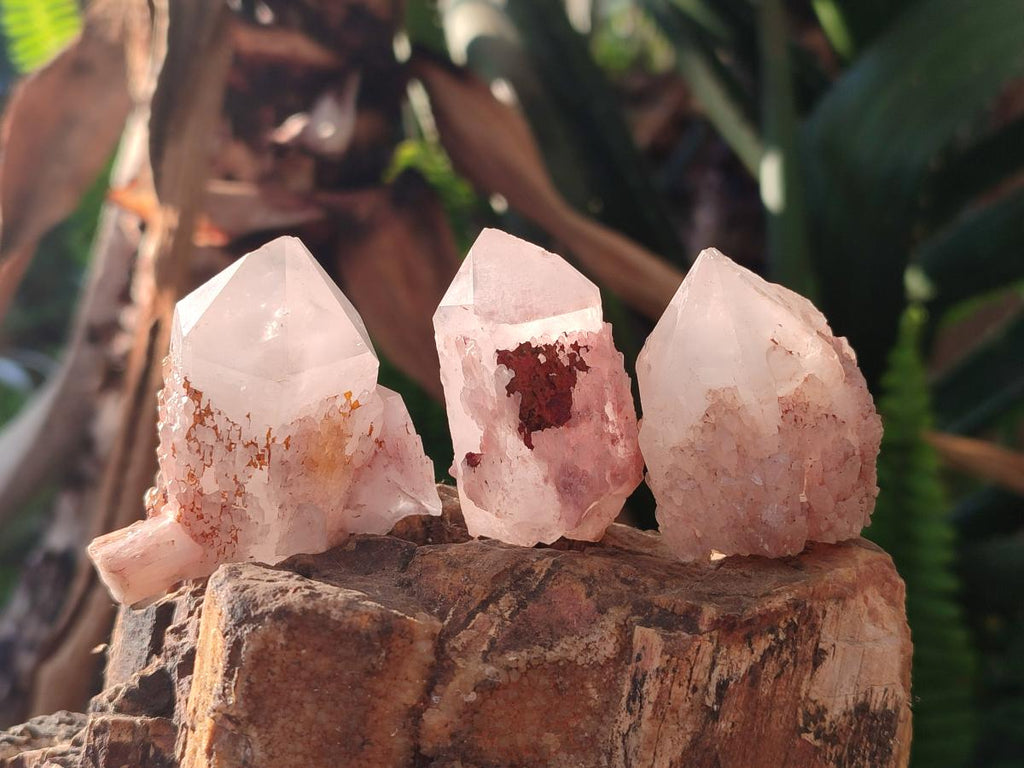Natural Mini Single Window Pineapple Quartz Crystals x 35 From Antsirabe, Madagascar - Toprock Gemstones and Minerals 