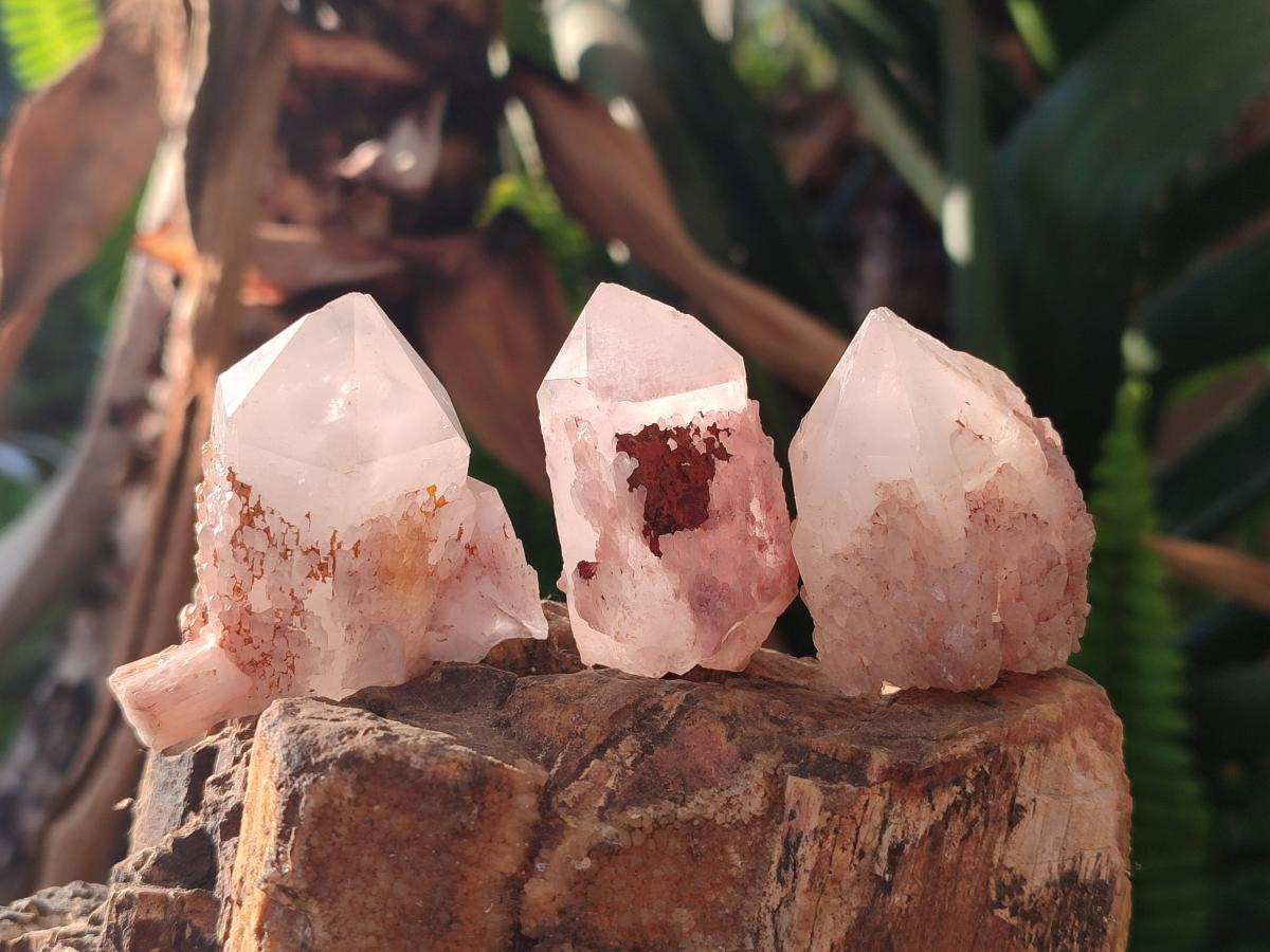 Natural Mini Single Window Pineapple Quartz Crystals x 35 From Antsirabe, Madagascar - Toprock Gemstones and Minerals 
