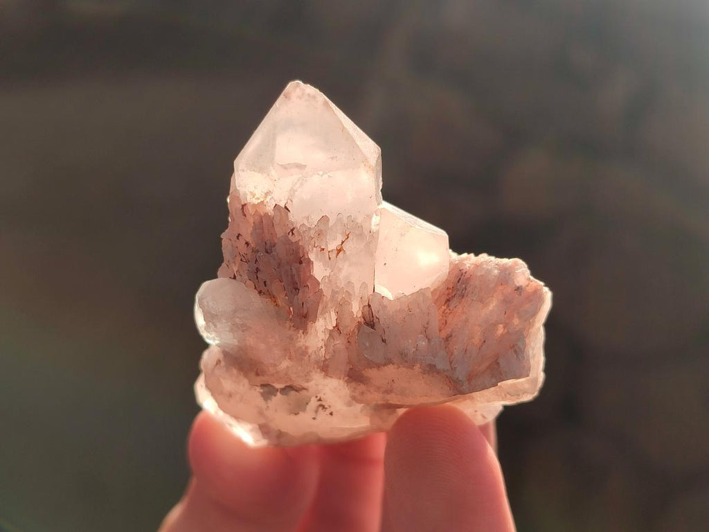 Natural Mini Single Window Pineapple Quartz Crystals x 35 From Antsirabe, Madagascar - Toprock Gemstones and Minerals 