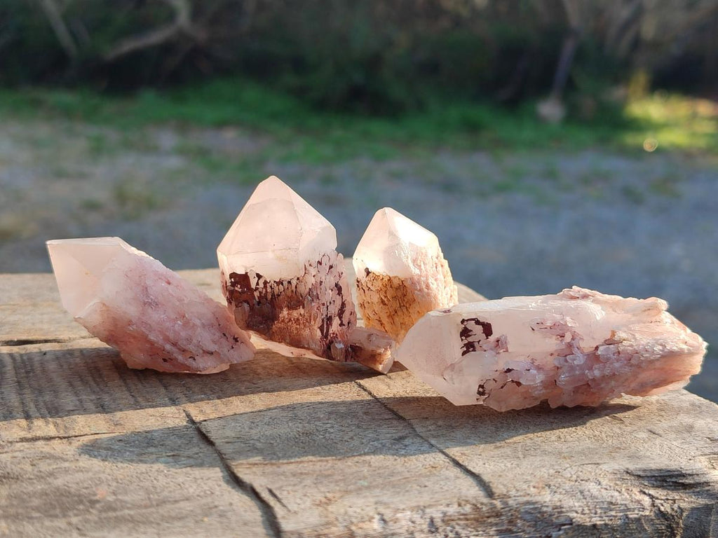 Natural Mini Single Window Pineapple Quartz Crystals x 35 From Antsirabe, Madagascar - Toprock Gemstones and Minerals 
