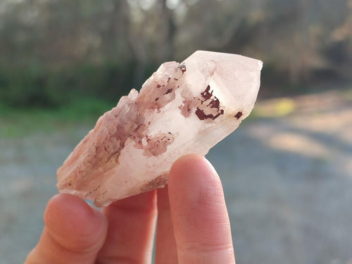 Natural Mini Single Window Pineapple Quartz Crystals x 35 From Antsirabe, Madagascar - Toprock Gemstones and Minerals 