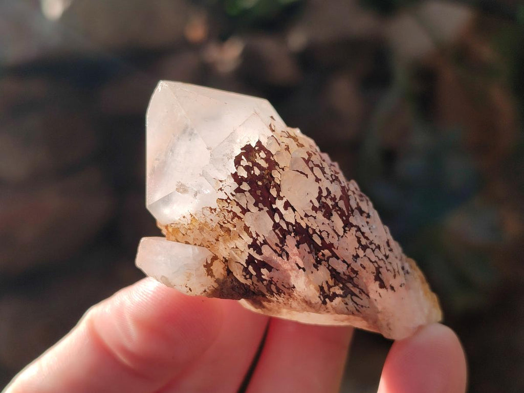 Natural Mini Single Window Pineapple Quartz Crystals x 35 From Antsirabe, Madagascar - Toprock Gemstones and Minerals 