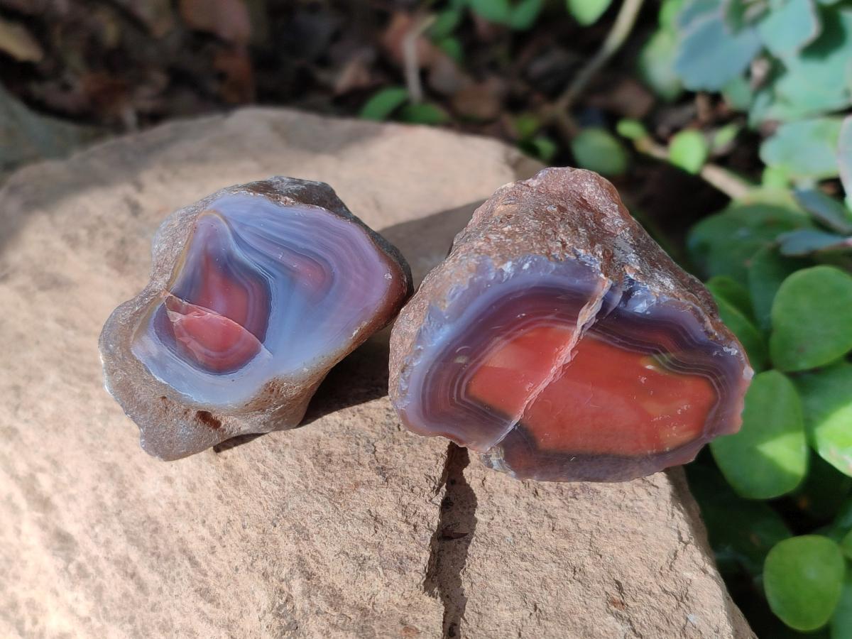 Polished One Side Red Shashe River Agate Nodules x 35 From Shashe River, Zimbabwe - Toprock Gemstones and Minerals 
