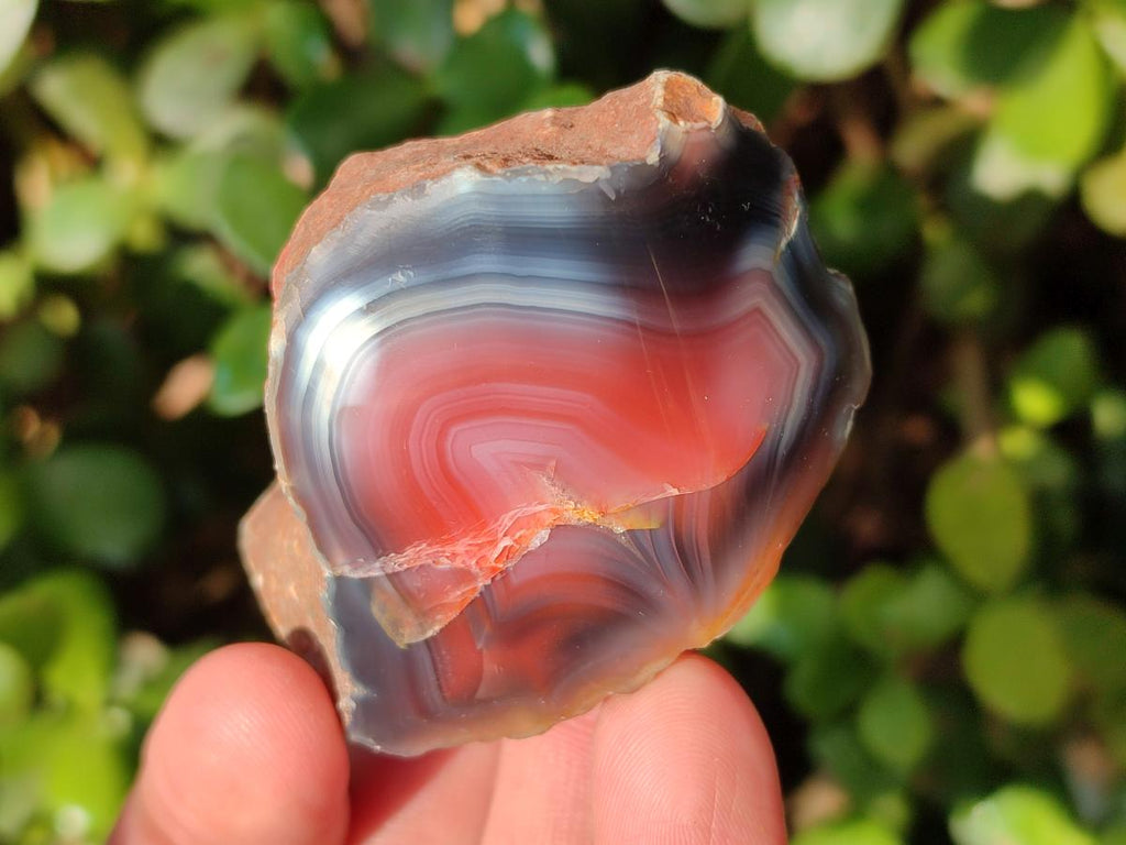 Polished One Side Red Shashe River Agate Nodules x 35 From Shashe River, Zimbabwe - Toprock Gemstones and Minerals 