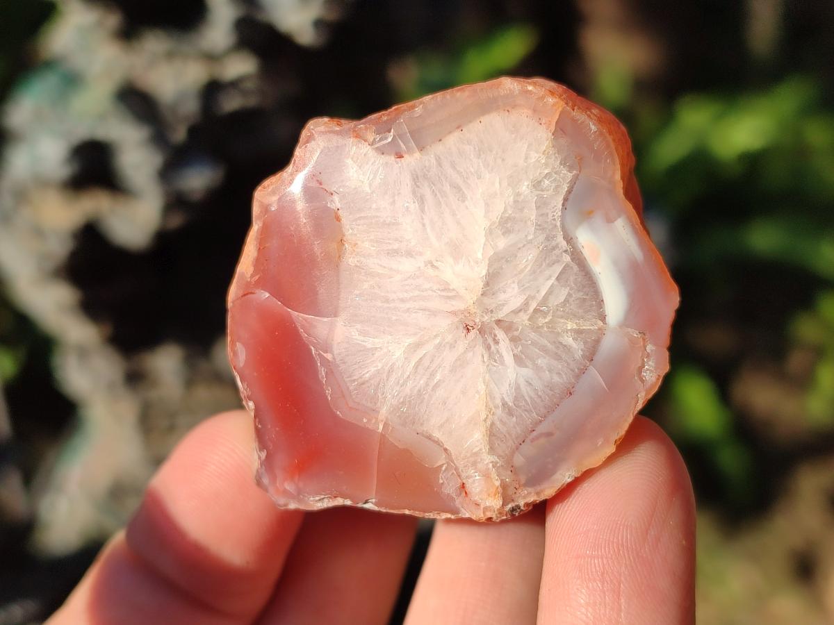 Polished One Side Red Shashe River Agate Nodules x 35 From Shashe River, Zimbabwe - Toprock Gemstones and Minerals 