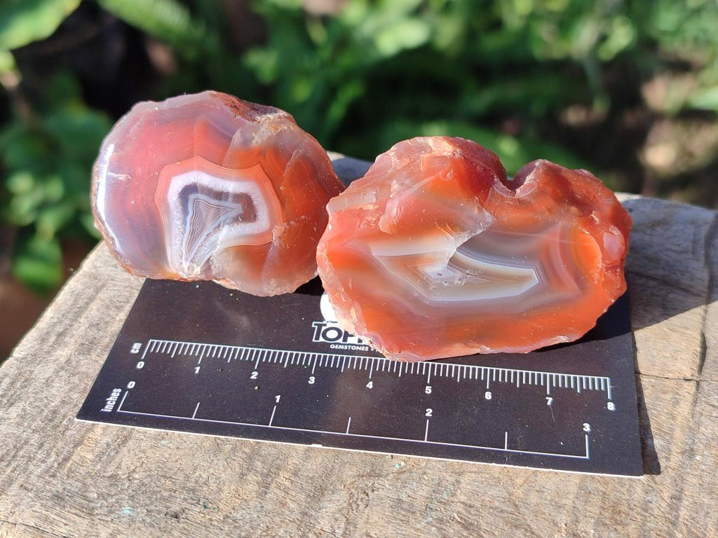 Polished One Side Red Shashe River Agate Nodules x 35 From Shashe River, Zimbabwe - Toprock Gemstones and Minerals 