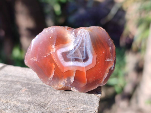Polished One Side Red Shashe River Agate Nodules x 35 From Shashe River, Zimbabwe - Toprock Gemstones and Minerals 