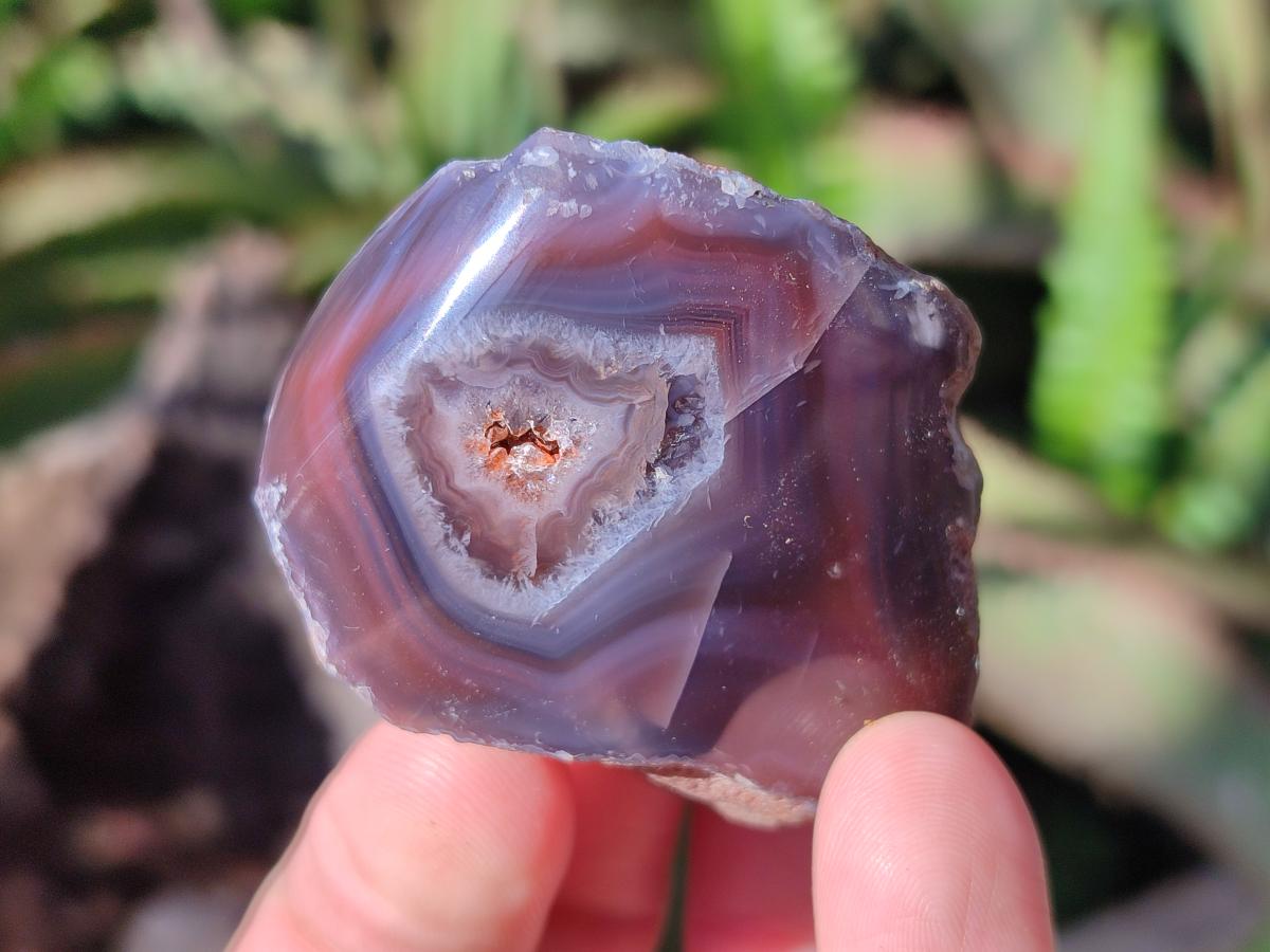 Polished One Side Red Shashe River Agate Nodules x 35 From Shashe River, Zimbabwe - Toprock Gemstones and Minerals 