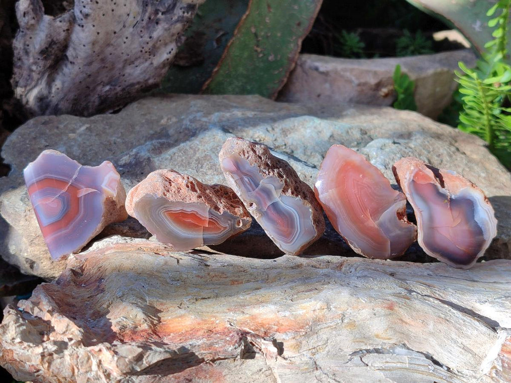 Polished One Side Red Shashe River Agate Nodules x 35 From Shashe River, Zimbabwe - Toprock Gemstones and Minerals 
