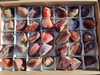 Polished One Side Red Shashe River Agate Nodules x 35 From Shashe River, Zimbabwe - Toprock Gemstones and Minerals 