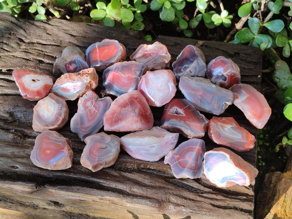 Polished One Side Red Shashe River Agate Nodules x 35 From Shashe River, Zimbabwe - Toprock Gemstones and Minerals 