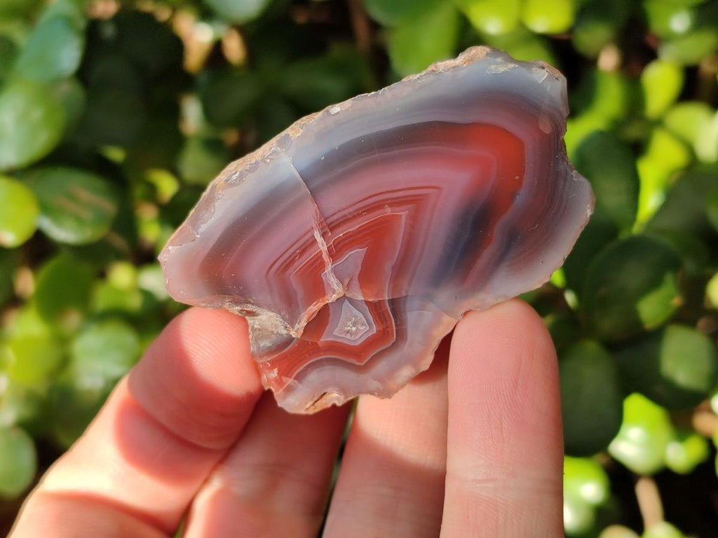 Polished One Side Red Shashe River Agate Nodules x 35 From Shashe River, Zimbabwe - Toprock Gemstones and Minerals 