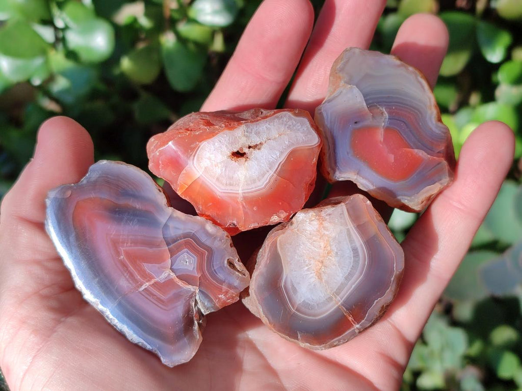 Polished One Side Red Shashe River Agate Nodules x 35 From Shashe River, Zimbabwe - Toprock Gemstones and Minerals 