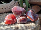 Polished One Side Red Shashe River Agate Nodules x 35 From Shashe River, Zimbabwe - Toprock Gemstones and Minerals 