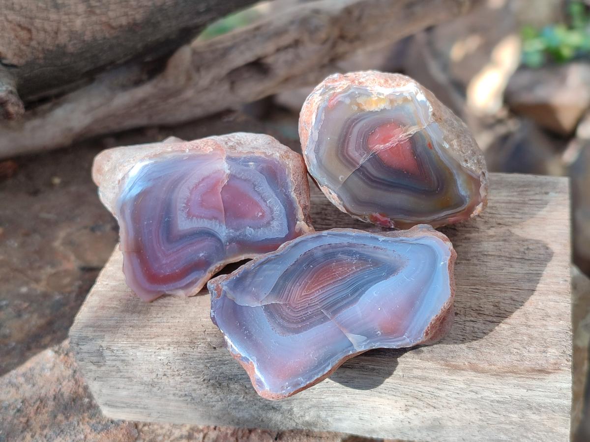 Polished One Side Red Shashe River Agate Nodules x 35 From Shashe River, Zimbabwe - Toprock Gemstones and Minerals 
