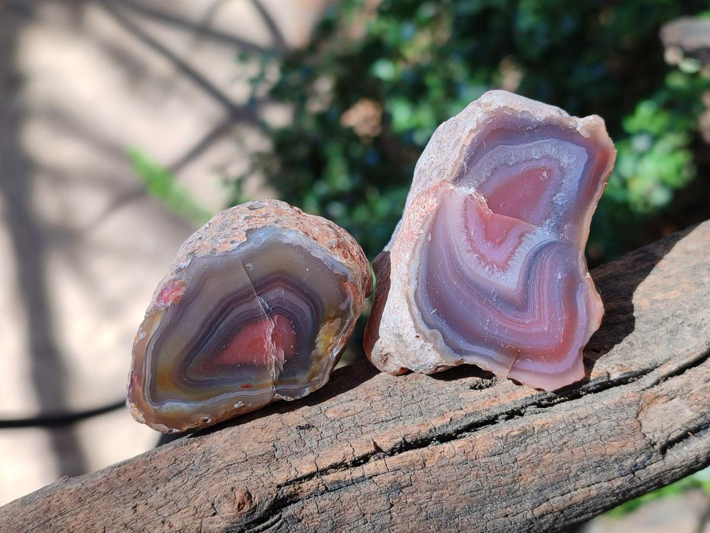 Polished One Side Red Shashe River Agate Nodules x 35 From Shashe River, Zimbabwe - Toprock Gemstones and Minerals 