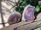 Polished One Side Red Shashe River Agate Nodules x 35 From Shashe River, Zimbabwe - Toprock Gemstones and Minerals 
