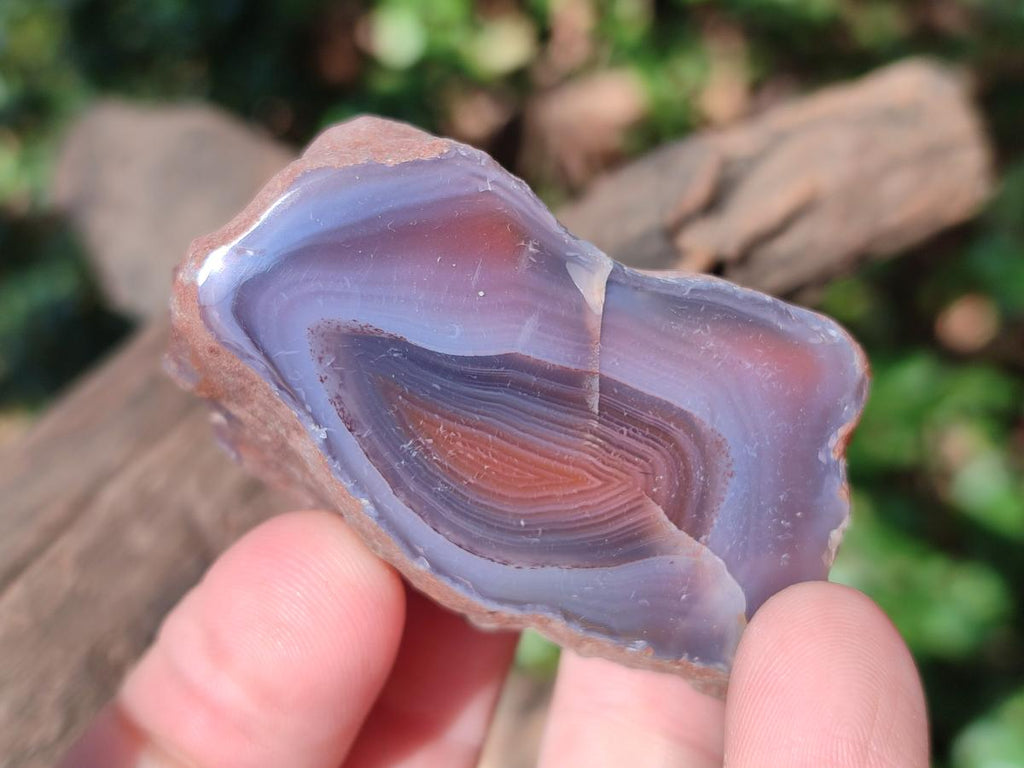 Polished One Side Red Shashe River Agate Nodules x 35 From Shashe River, Zimbabwe - Toprock Gemstones and Minerals 