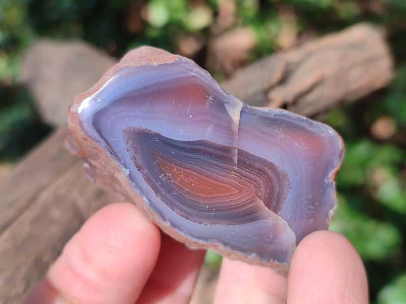 Polished One Side Red Shashe River Agate Nodules x 35 From Shashe River, Zimbabwe - Toprock Gemstones and Minerals 