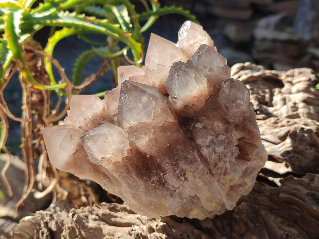 Natural Cascading White Phantom Smokey Luena Quartz Clusters x 2 From Luena, Congo - Toprock Gemstones and Minerals 