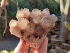 Natural Cascading White Phantom Smokey Luena Quartz Clusters x 2 From Luena, Congo - Toprock Gemstones and Minerals 