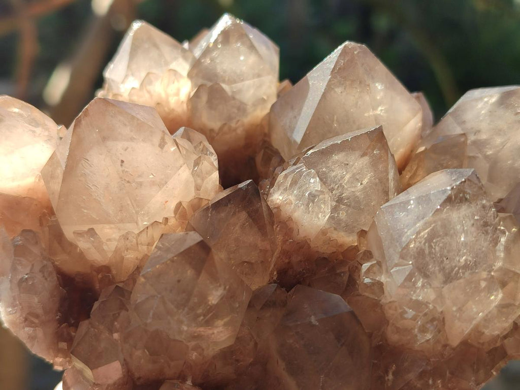 Natural Cascading White Phantom Smokey Luena Quartz Clusters x 2 From Luena, Congo - Toprock Gemstones and Minerals 