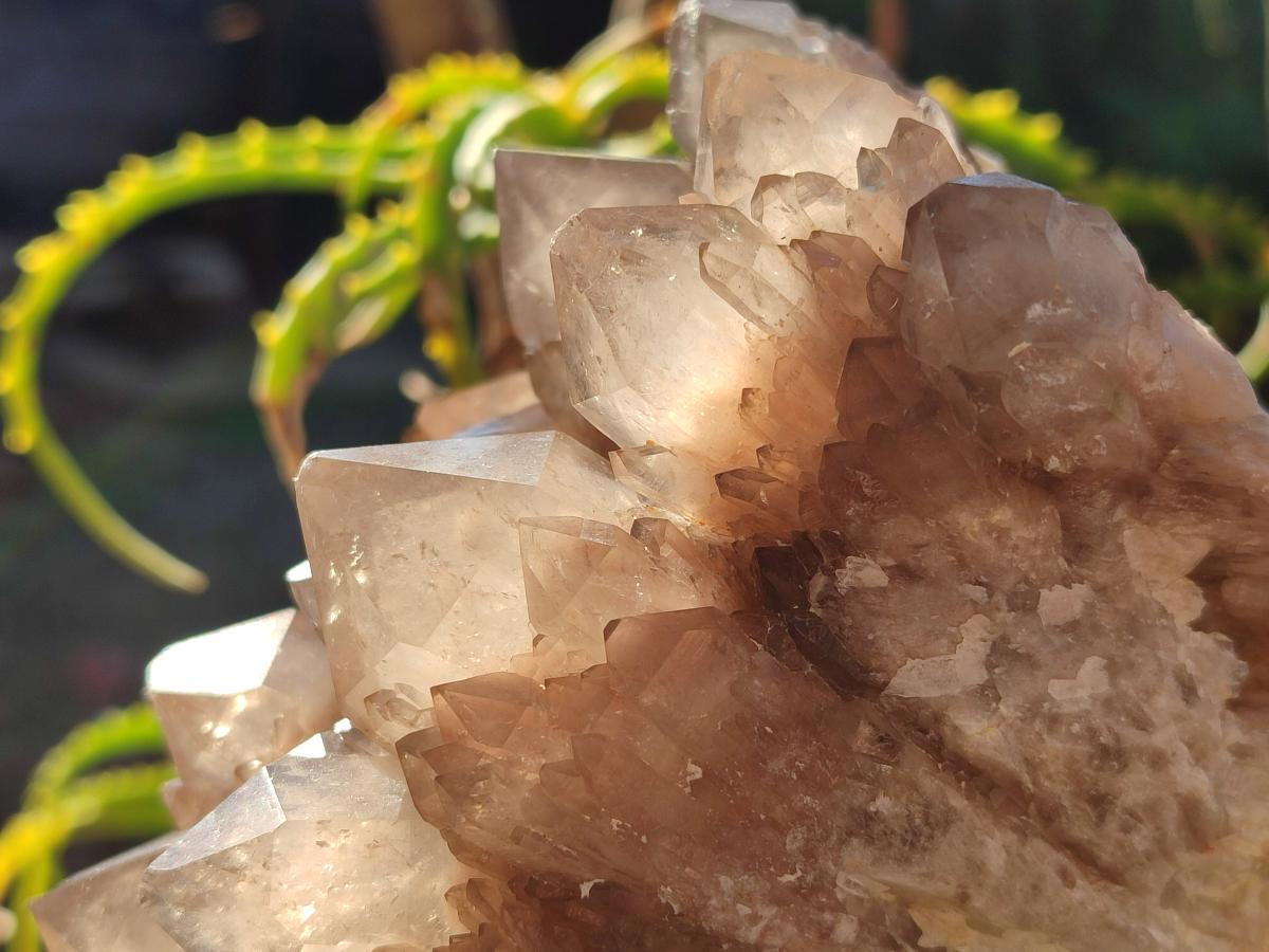 Natural Cascading White Phantom Smokey Luena Quartz Clusters x 2 From Luena, Congo - Toprock Gemstones and Minerals 