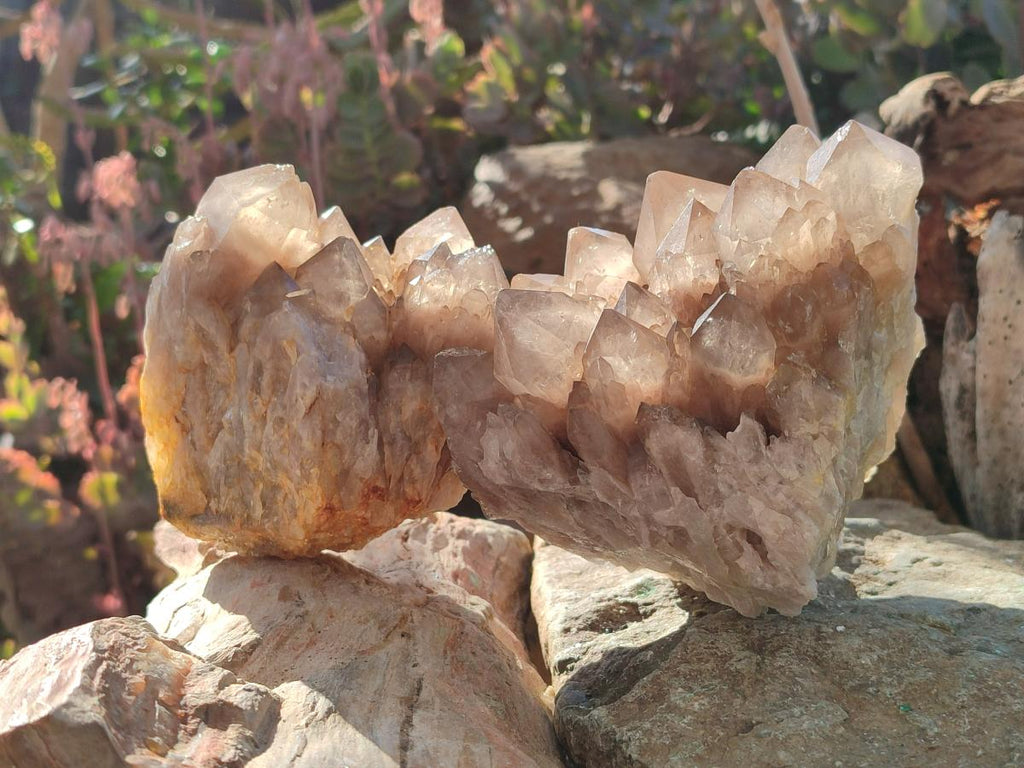 Natural Cascading White Phantom Smokey Luena Quartz Clusters x 2 From Luena, Congo - Toprock Gemstones and Minerals 
