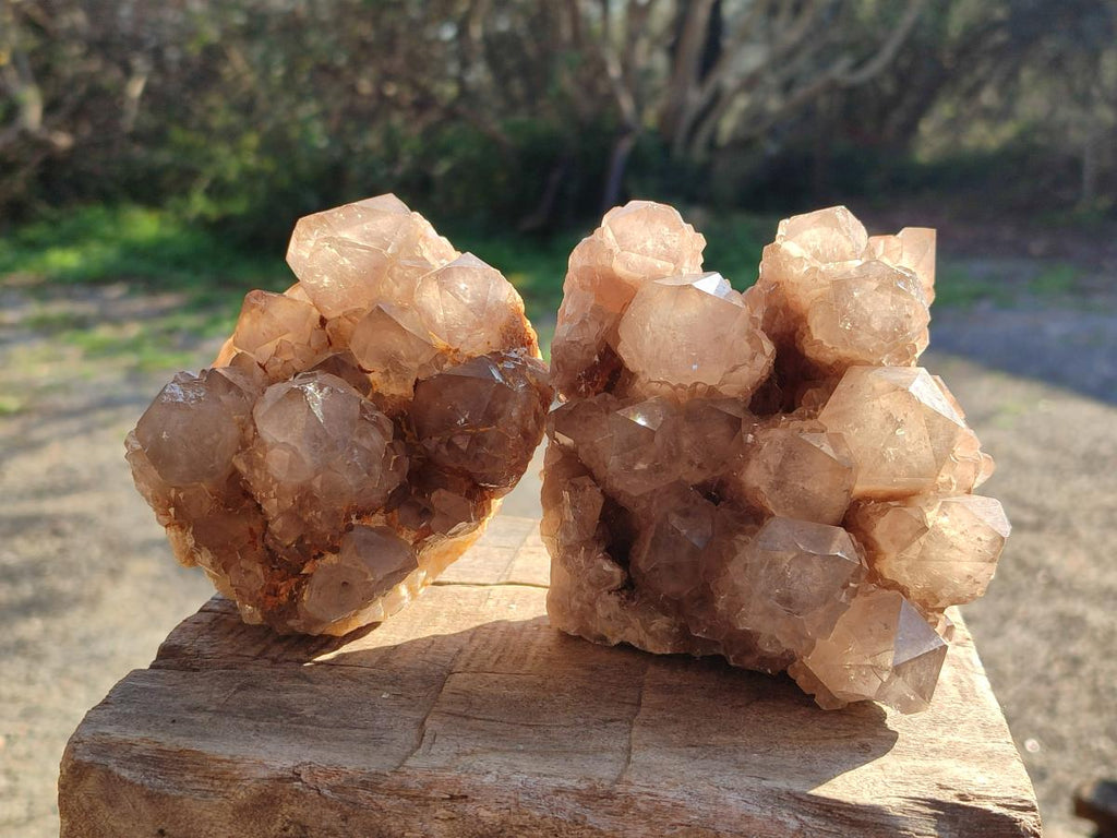 Natural Cascading White Phantom Smokey Luena Quartz Clusters x 2 From Luena, Congo - Toprock Gemstones and Minerals 