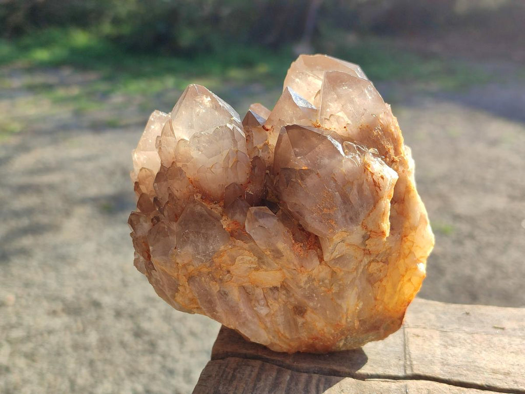 Natural Cascading White Phantom Smokey Luena Quartz Clusters x 2 From Luena, Congo - Toprock Gemstones and Minerals 