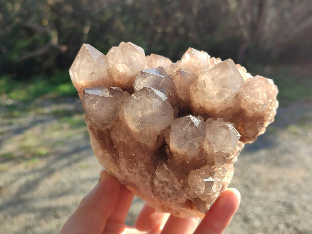 Natural Cascading White Phantom Smokey Luena Quartz Clusters x 2 From Luena, Congo - Toprock Gemstones and Minerals 