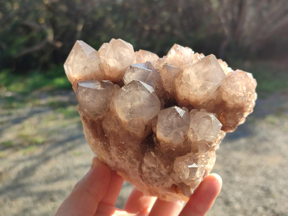 Natural Cascading White Phantom Smokey Luena Quartz Clusters x 2 From Luena, Congo - Toprock Gemstones and Minerals 