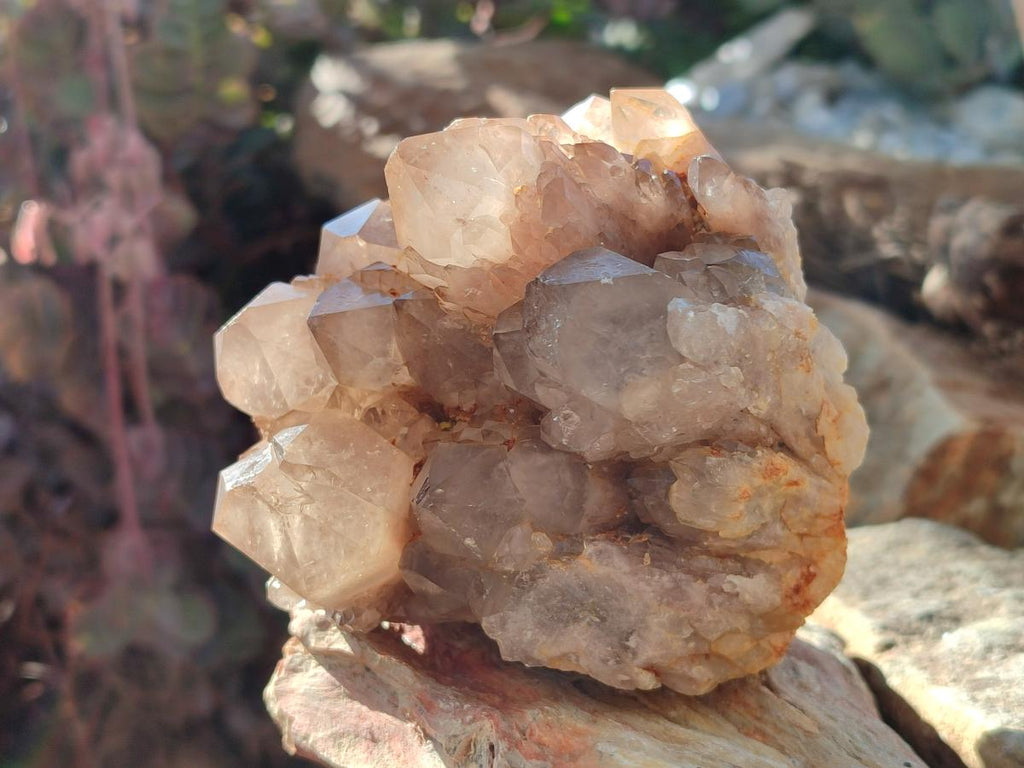 Natural Cascading White Phantom Smokey Luena Quartz Clusters x 2 From Luena, Congo - Toprock Gemstones and Minerals 