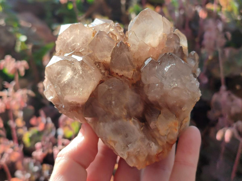 Natural Cascading White Phantom Smokey Luena Quartz Clusters x 2 From Luena, Congo - Toprock Gemstones and Minerals 