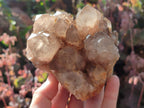 Natural Cascading White Phantom Smokey Luena Quartz Clusters x 2 From Luena, Congo - Toprock Gemstones and Minerals 