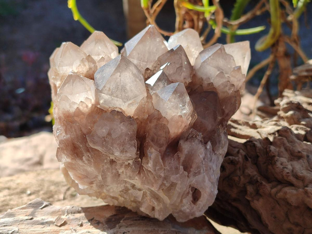 Natural Cascading White Phantom Smokey Luena Quartz Clusters x 2 From Luena, Congo - Toprock Gemstones and Minerals 