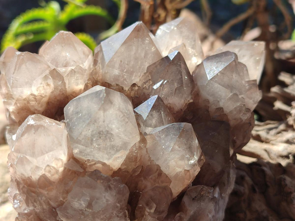 Natural Cascading White Phantom Smokey Luena Quartz Clusters x 2 From Luena, Congo - Toprock Gemstones and Minerals 